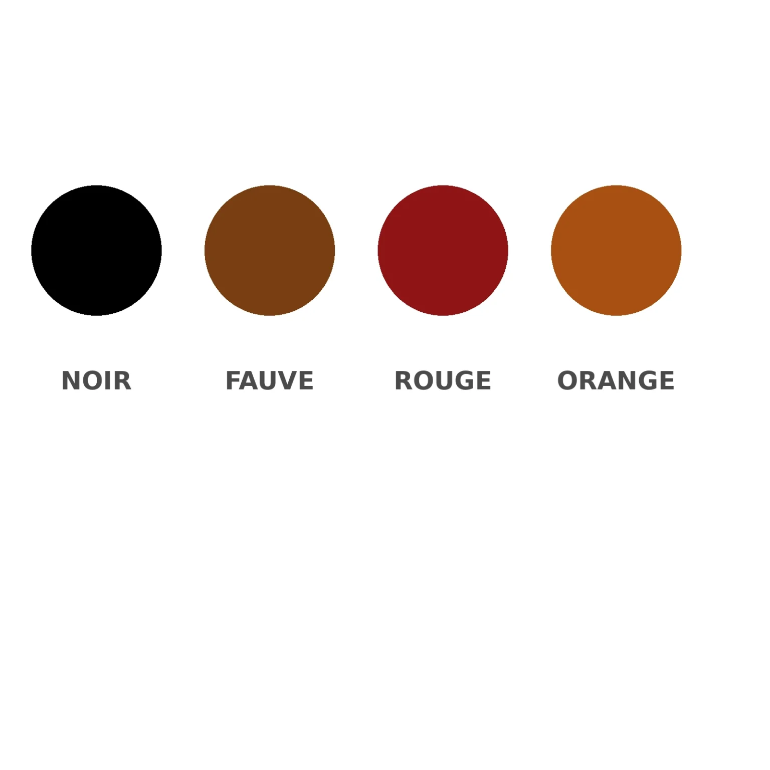 Palette de couleurs des bourses PmP noir, fauve, rouge et orange