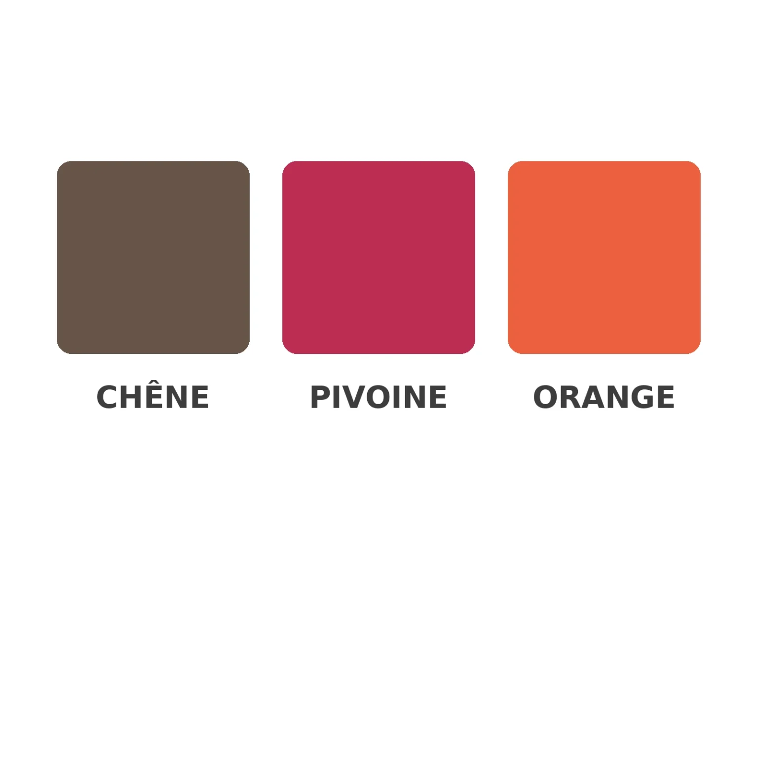 Palette des gants tactiles PmP : chêne, pivoine et orange.