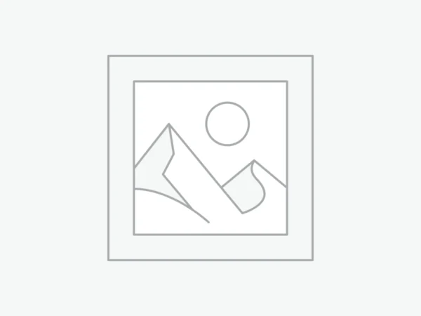 Uncategorized